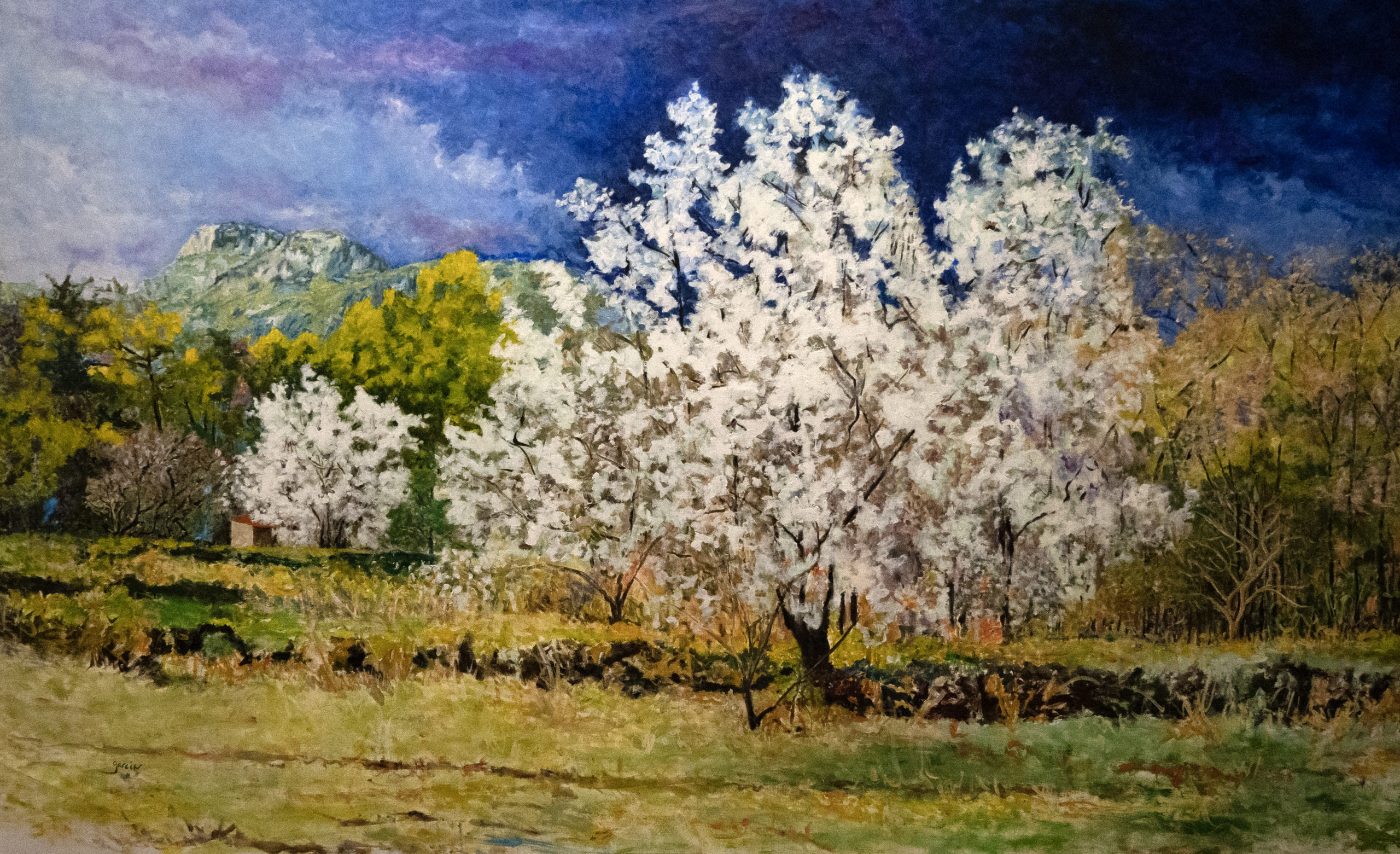 L’amandier, huile sur toile, 185 X 108 cm, 2023.