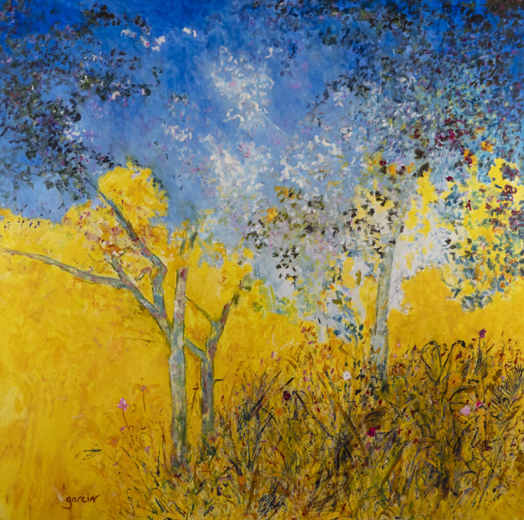 Cette toile est l'une des plus lumineuses et des plus politiquement chargées de l'œuvre de Garcin — sans que jamais la charge ne prenne le dessus sur la sensation. Le jaune occupe les deux tiers de la surface — jaune d'or intense, presque aveuglant, qui envahit le sol et monte vers le ciel. Ce n'est pas le jaune domestique des intérieurs bonnardiens ni le jaune anxieux de Van Gogh. C'est le jaune méditerranéen de l'été extrême — celui des garrigues brûlées, des champs après la moisson, de cette lumière du Midi qui écrase et révèle simultanément. Un jaune de plein midi, sans ombre, sans refuge. Dans ce jaune — trois arbres. Leurs troncs fins, vert-gris, graciles, presque fragiles, montent verticalement depuis le sol. Ils tiennent. La frondaison se déploie vers le ciel bleu cobalt du haut de la composition — bleu franc, aérien, qui respire là où le jaune étouffe. Entre les deux, une explosion blanche au centre — lumière condensée, arbre en fleurs, irradiation sans source visible. En bas à droite, des herbes hautes et des fleurs sauvages — roses, rouges, blanches — éparses, têtues, vivantes. Ce sont elles que le titre nomme. Les survivances — ce qui reste, ce qui persiste malgré la chaleur, malgré la sécheresse, malgré tout ce qui menace. Le titre est l'un des plus précis et des plus justes de toute l'œuvre. La barre oblique — Traces / Survivances — n'est pas une simple conjonction. Elle met en tension deux temporalités : les traces sont ce qui a existé et laissé une marque ; les survivances sont ce qui existe encore, contre toute attente. Les premières regardent le passé, les secondes résistent au présent. Cette double temporalité traverse toute la composition. Le jaune brûlant dit la contrainte, la menace, l'excès climatique. Les arbres et les fleurs disent la résistance, la persistance du vivant. Ce n'est pas une catastrophe représentée — c'est une tension vitale maintenue. La beauté ici n'est pas décorative. Elle est acte de résistance. La filiation avec Traces survivances (2024) et Biome sous contrainte (2026) est explicite — Garcin développe depuis quelques années une conscience écologique qui traverse discrètement mais fermement certaines de ses toiles les plus récentes. Sans manifeste, sans slogan, sans didactisme. Juste la couleur, les arbres qui tiennent, les fleurs qui survivent. C'est peut-être la toile la plus contemporaine de l'ensemble — celle qui dit le monde tel qu'il est en 2024, avec la beauté pour seule résistance.