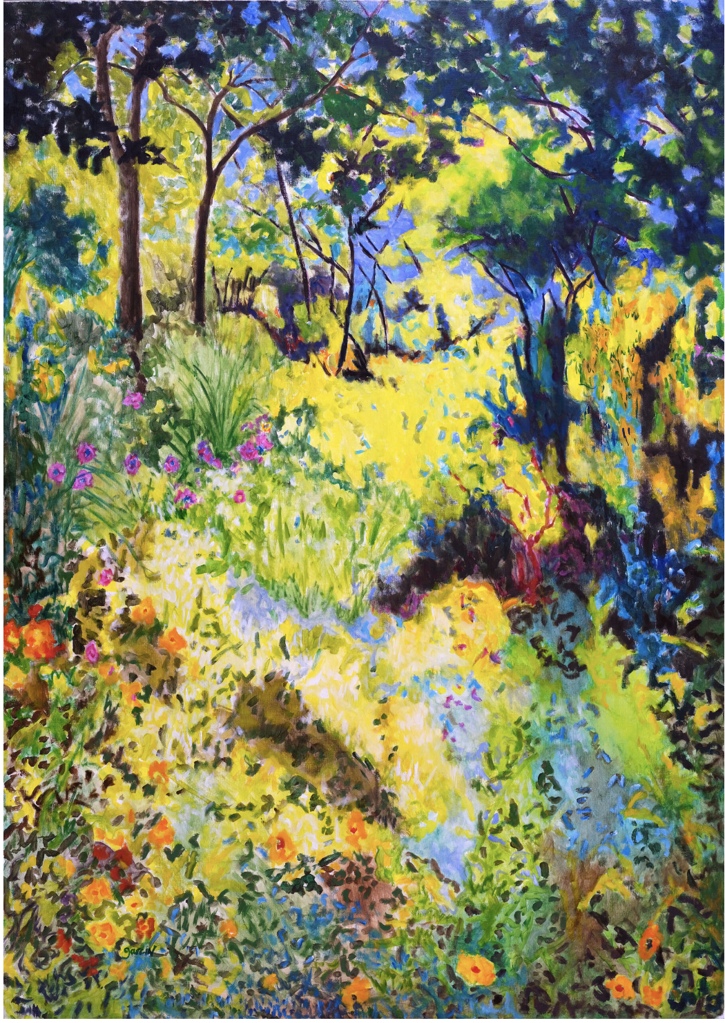 Paysage mimosa, huile sur toile, 2019 Cette toile est la plus bonnardienne de toute l'œuvre — non par imitation mais par communion profonde avec une même vision du jardin comme territoire de la couleur pure et de la lumière vécue. Le jaune est ici à son état le plus vibrant et le plus multiple. Ce n'est pas le jaune brûlant de Traces / Survivances ni le jaune solaire de Plein soleil — c'est le jaune du mimosa en pleine floraison, jaune acide, léger, presque phosphorescent, qui envahit la composition depuis le bas jusqu'à la canopée sans jamais peser. Ce jaune de mimosa est une lumière autant qu'une couleur — il irradie de l'intérieur, il transforme tout ce qu'il touche. La composition est verticale et ascendante — le regard monte naturellement depuis la profusion fleurie du premier plan vers les arbres du fond et le ciel bleu qui perce entre les frondaisons. Ce mouvement ascendant est contrarié et enrichi par la profondeur horizontale — un chemin jaune-blanc s'insinue au centre de la composition, invitation à entrer, à avancer dans cet espace débordant. Le premier plan est une fête botanique d'une précision et d'une liberté simultanées — fleurs orangées, roses multiples, jaunes en touche courte, verts de toutes les familles, bleus discrets. Chaque espèce est suggérée plutôt que décrite. La végétation basse est dense, foisonnante, presque impénétrable — on ne pourrait pas marcher dans ce jardin sans en déranger l'ordre secret. Les arbres au fond — troncs bruns verticaux, branches calligraphiques noires, feuillages verts et bleus — structurent la composition sans la rigidifier. Leurs troncs sont les seules lignes verticales dures dans un espace de courbes et de masses. Entre eux, le bleu du ciel perce — respiration, profondeur, ouverture vers un espace infini au-delà du jardin. À droite, une zone d'ombre et de végétation sombre — bleus profonds, verts denses, touches violettes et rouges — crée un contrepoint dramatique à la lumière jaune dominante. Un arbuste aux branches rouges sang introduit une note chaude et inattendue dans cette zone d'ombre. C'est le dispositif récurrent de Garcin — la lumière a besoin de l'ombre pour exister, le jaune a besoin du bleu-vert profond pour vibrer. La touche est libre, rapide, confiante — petites touches divisées qui rappellent le pointillisme mais sans sa systématique. Chaque zone a son propre rythme de touche — plus court et dense dans les fleurs, plus large et balayé dans les zones lumineuses, plus nerveux dans les ombres. Cette variation du rythme pictural crée une respiration interne à la composition. La parenté avec Bonnard est ici la plus évidente et la plus assumée — ce jardin du Cannet provençal que Bonnard a peint pendant des décennies, cette façon de faire de la lumière une matière, de la couleur une émotion physique avant d'être une représentation, ce refus de l'ombre qui assombrit au profit d'une lumière qui colore même ce qu'elle n'éclaire pas directement. Mais Garcin n'est pas Bonnard — sa touche est plus libre, sa palette plus intense, son espace plus ouvert. Là où Bonnard enfermait souvent la vue derrière une fenêtre ou une terrasse, Garcin entre directement dans le jardin, sans médiation, sans distance. Dans Paysage mimosa, Garcin peint ce que Bonnard aurait peint s'il avait pu voir le jardin du Cannet en pleine floraison de mimosas, sous la lumière de février qui précède le printemps — ce moment exact où le jaune explose dans la végétation encore hivernale et où la peinture devient, pour quelques semaines, la seule façon juste de regarder le monde.