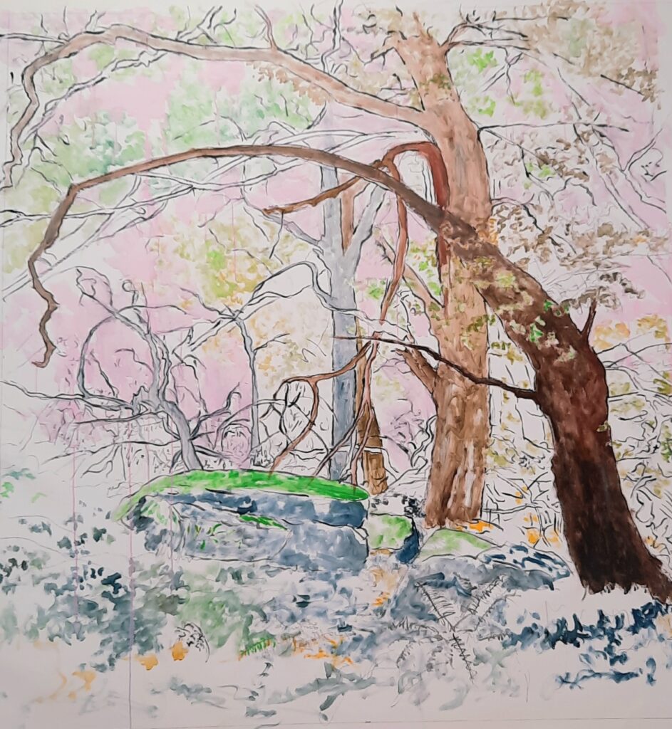 carnet de croquis artiste